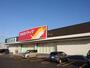 ドラックストア　ツルハドラッグ（ドラッグストア）まで731m