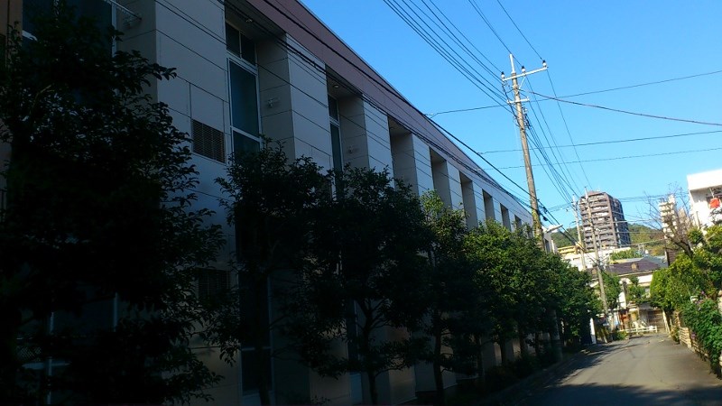 眺望　緑豊かな住宅地です。