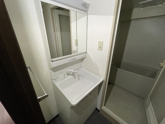 洗面設備　写真は別号室