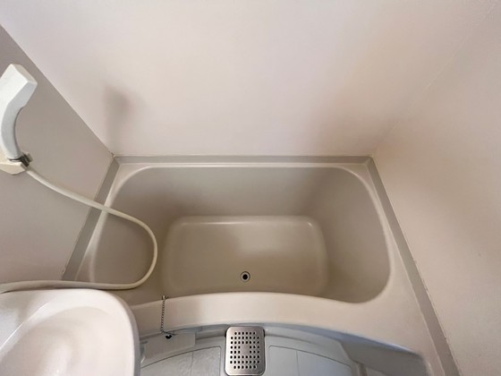 バス・シャワールーム　※別部屋の写真です