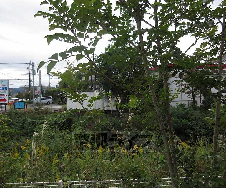 眺望　眺望です