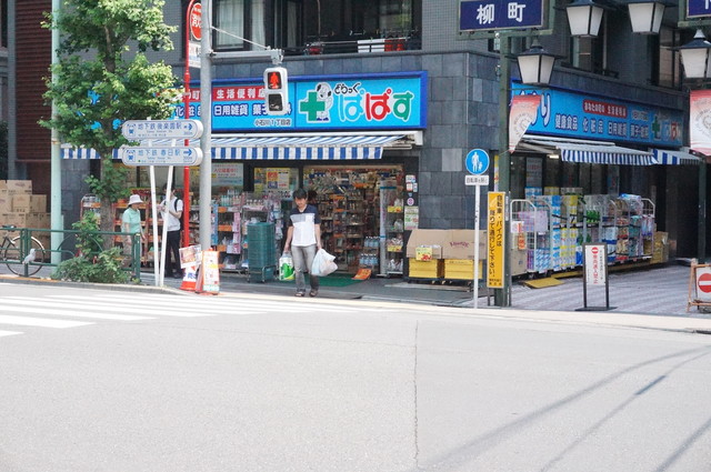 ドラックストア　どらっぐぱぱす小石川1丁目店（ドラッグストア）まで528m