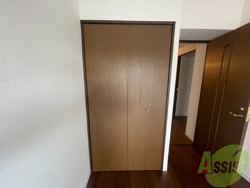 収納　大きそうなクローゼット。なかが気になりますね。