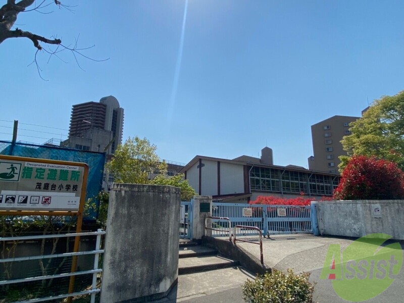 小学校　仙台市立茂庭台小学校（小学校）まで708m