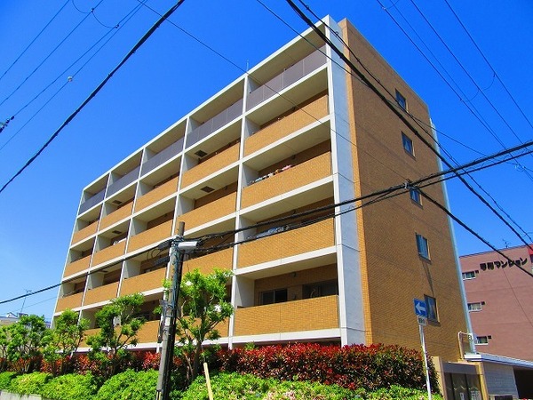 建物外観　南向き