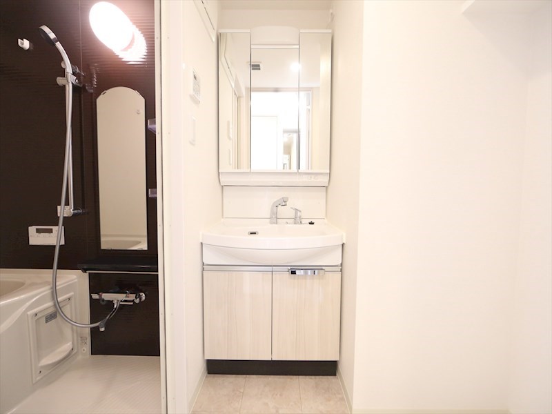 洗面設備　脱衣所　独立洗面台（シャンプードレッサー付）　同仕様写真