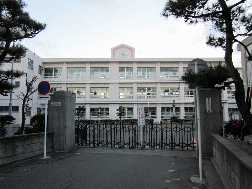 小学校　西尾市立花ノ木小学校（小学校）まで866m