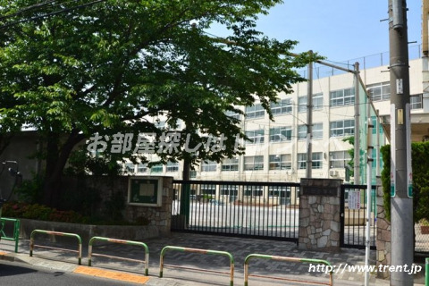 小学校　中野区立 向台小学校（小学校）まで340m