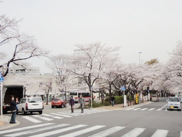 郵便局　川崎馬絹郵便局（郵便局）まで323m