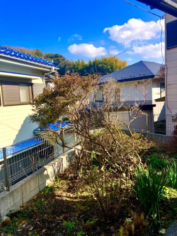 庭　庭の一部。夏はラベンダーが咲き誇ります。