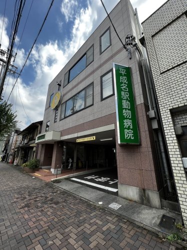 病院　平成名駅動物病院（病院）まで1178m