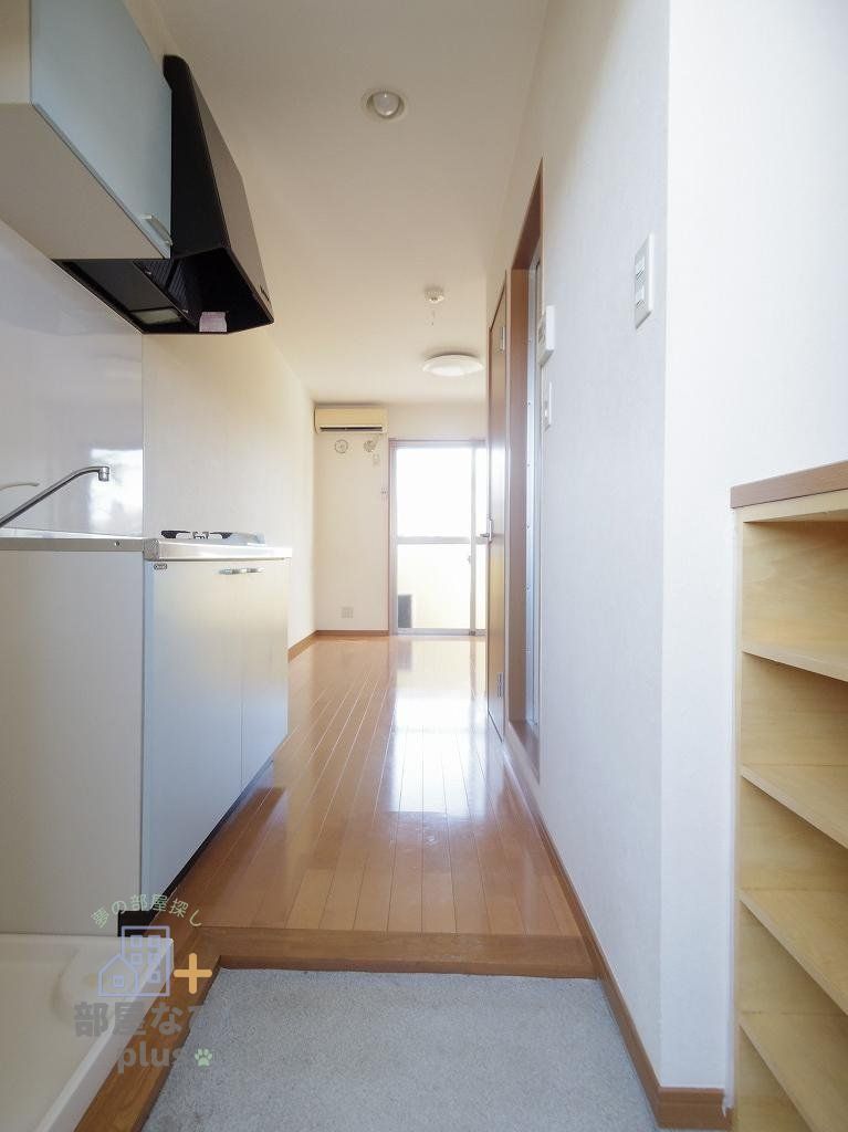 玄関　※他号室写真です