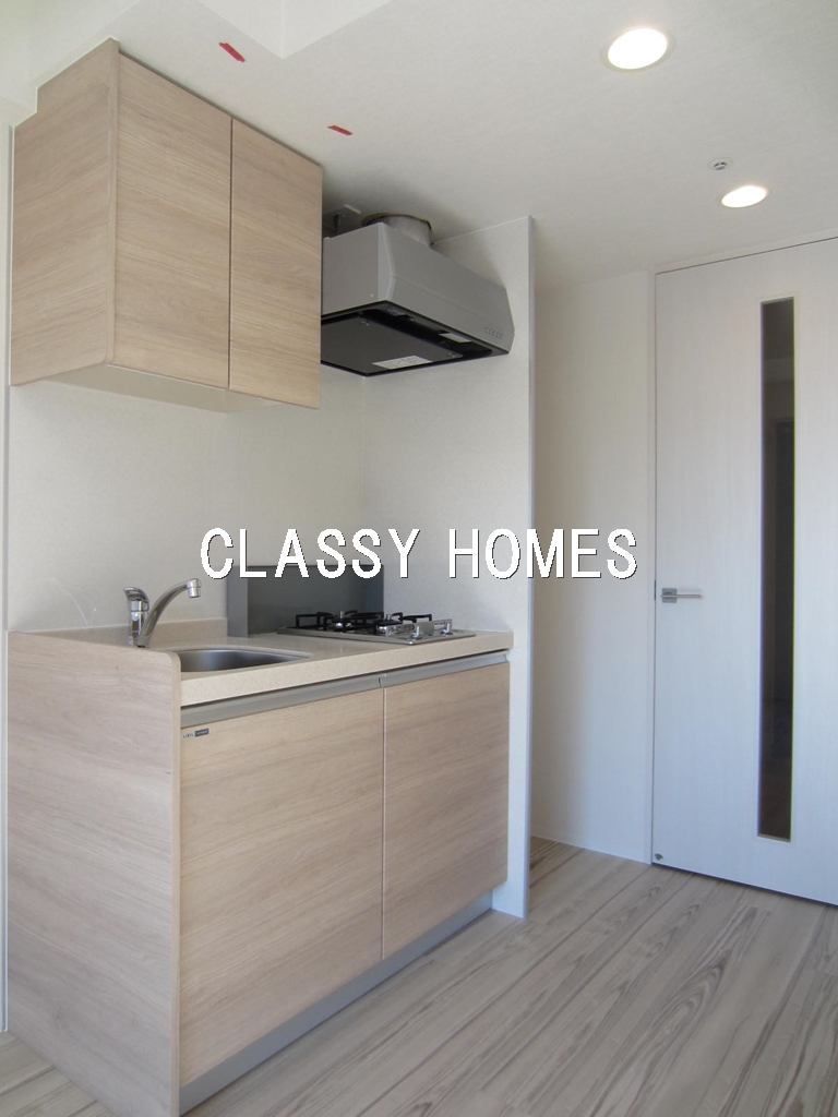 キッチン　2016年竣工　Belle Vue(ベルビュー）新橋：キッチ