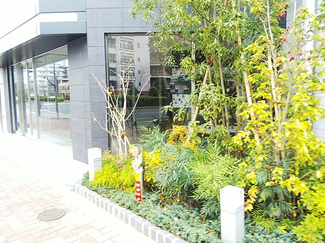 エントランス　エントランス