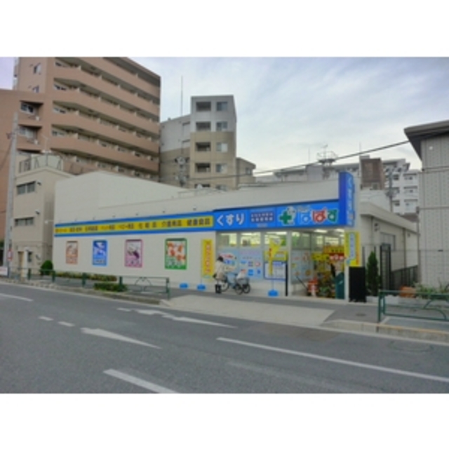 ドラックストア　どらっぐぱぱす下落合店（ドラッグストア）まで738m