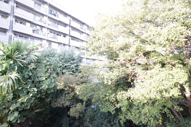 眺望　バルコニーからの景色