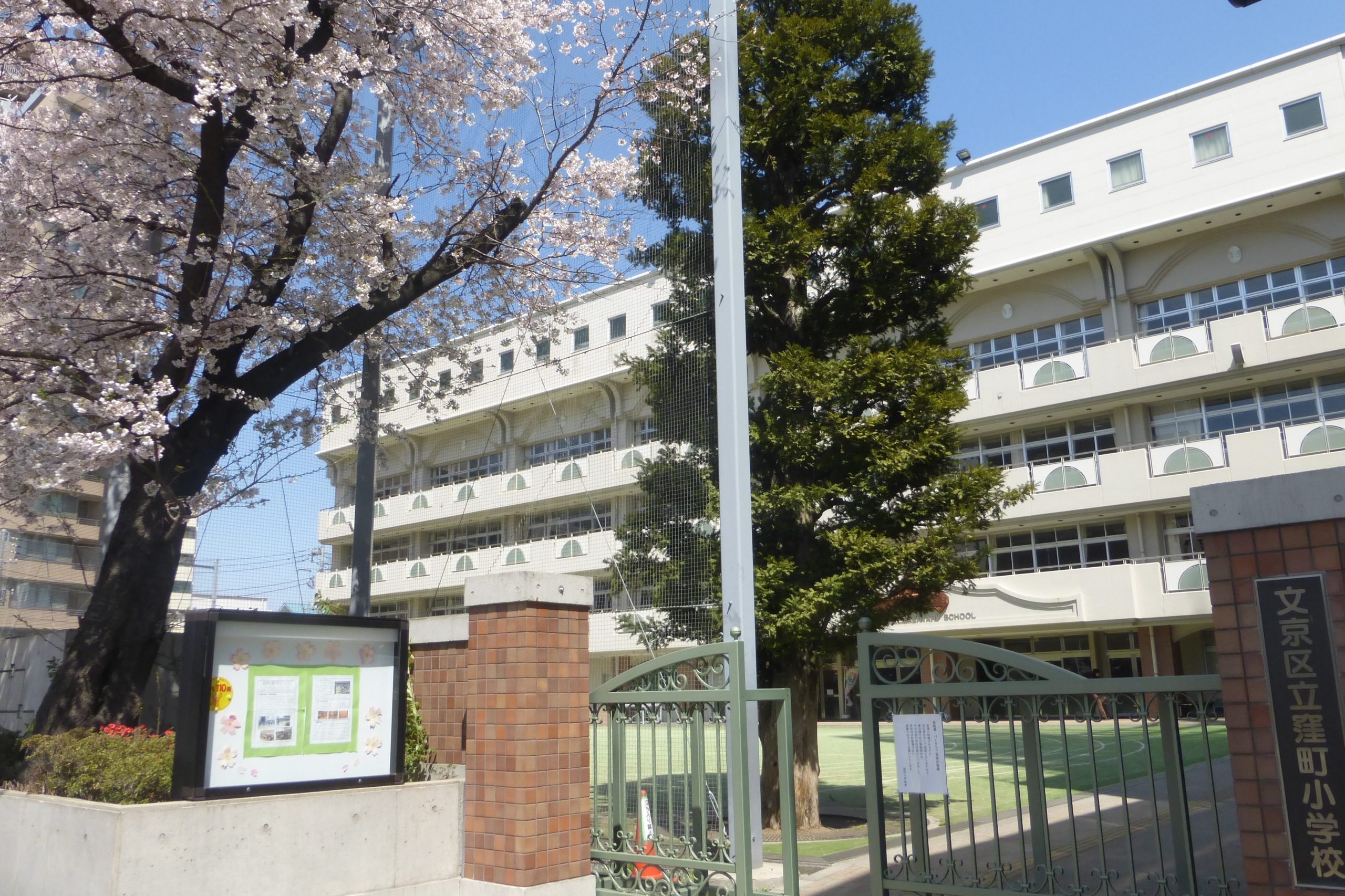 小学校　文京区立窪町小学校（小学校）まで217m