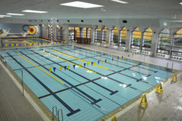 役所　中野区南部スポーツ・コミュニティプラザ（役所）まで280m