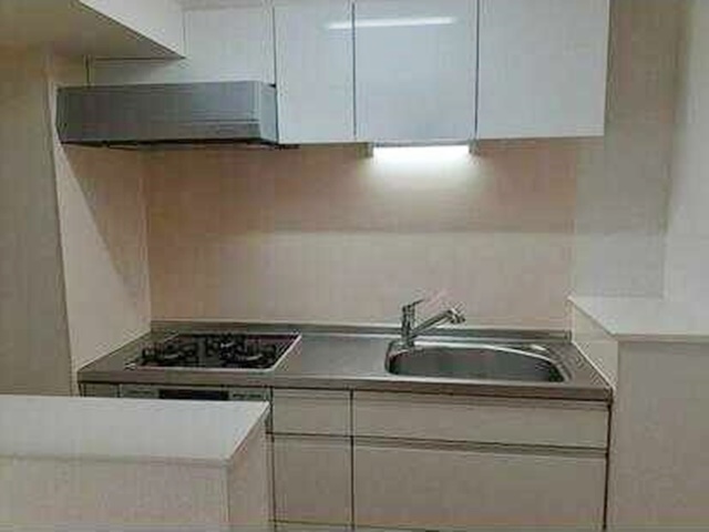 キッチン　【南向きの明るいお部屋♪】人気の東横線利用でアクセス良好！