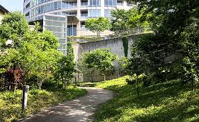 公園　円通寺坂公園（公園）まで628m