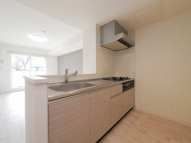 キッチン　嬉しいシステムキッチン付きです♪コンロを買わなくてもOK♪