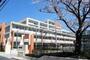 小学校　江東区立大島南央小学校（小学校）まで1238m