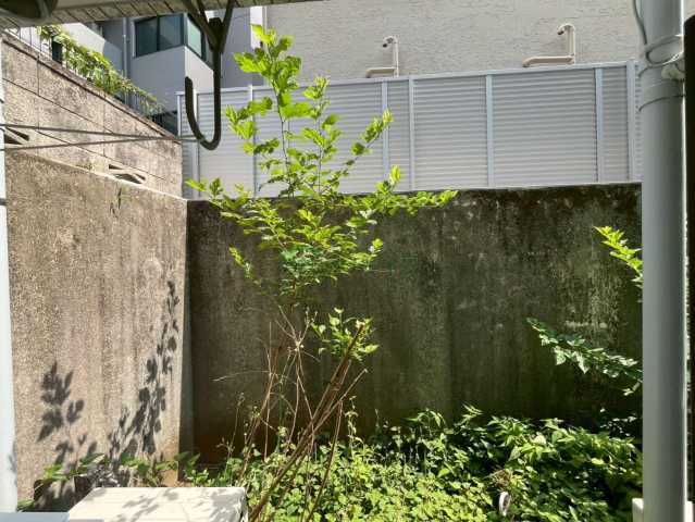 眺望　別部屋参考写真