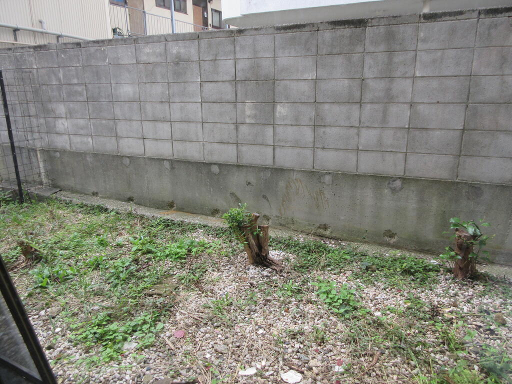 庭