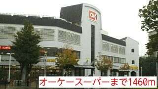 スーパー　オーケースーパー（スーパー）まで1460m