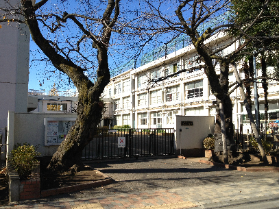 小学校　練馬区立中村小学校（小学校）まで310m