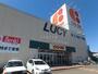 スーパー　コープさっぽろLucy店（スーパー）まで391m