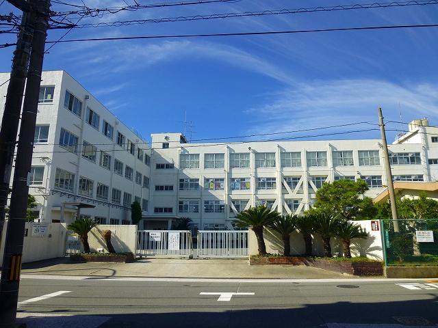 中学校　高槻市立城南中学校（中学校）まで402m