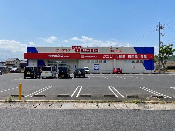 ドラックストア　ドラッグストアウェルネス倉吉東店（ドラッグストア）まで576m