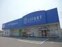 ドラックストア　ライフォート魚住店（ドラッグストア）まで910m