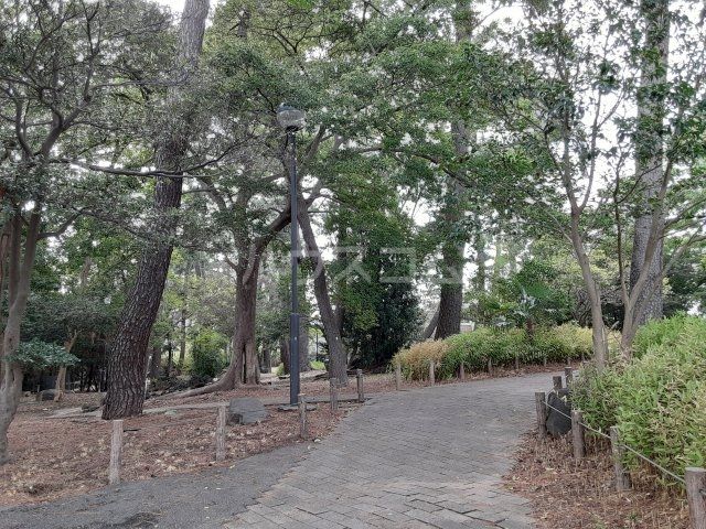 公園　8号宮前緑地（公園）まで716m