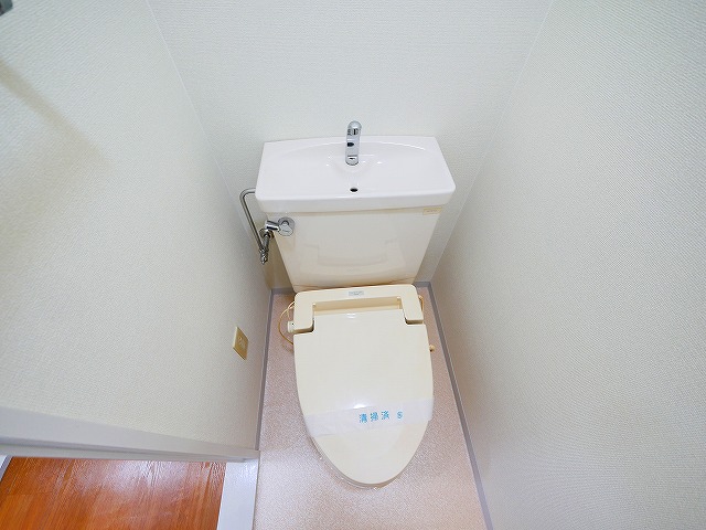 トイレ　トイレです
