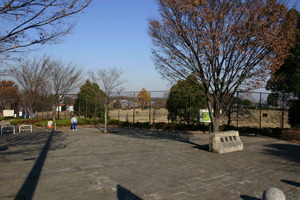 公園　今川公園（公園）まで567m