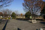 公園　今川公園（公園）まで567m