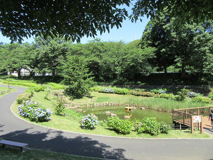 公園　保土ヶ谷公園（公園）まで600m