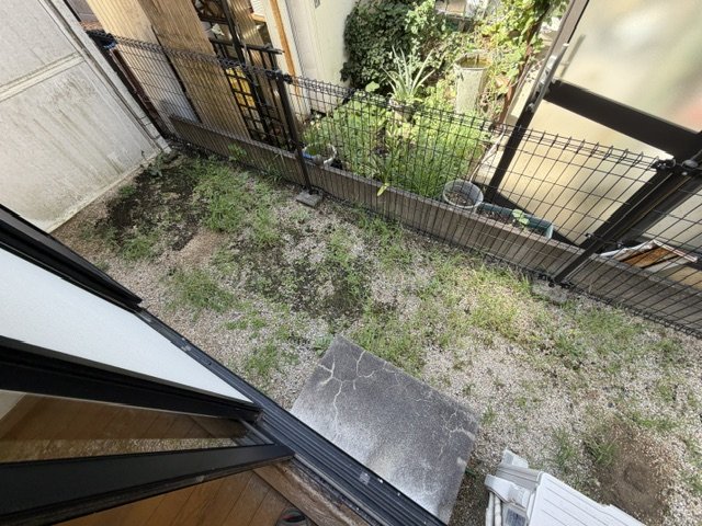 庭