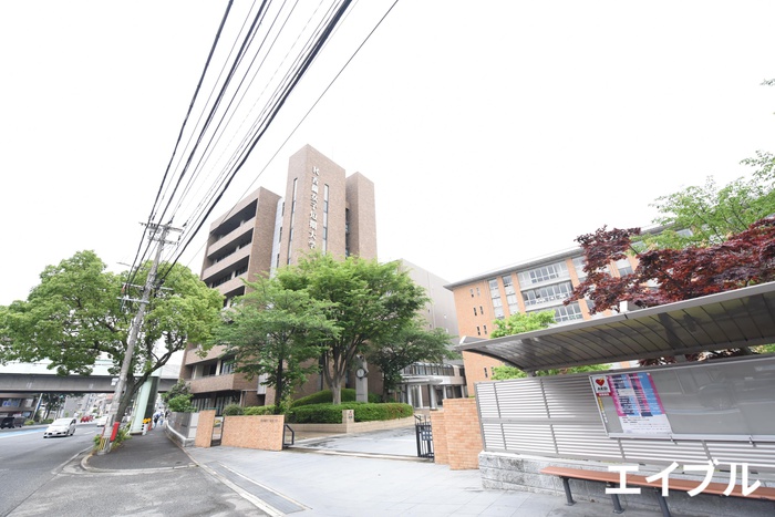 大学・短大　私立香蘭女子短期大学（大学・短大）まで486m