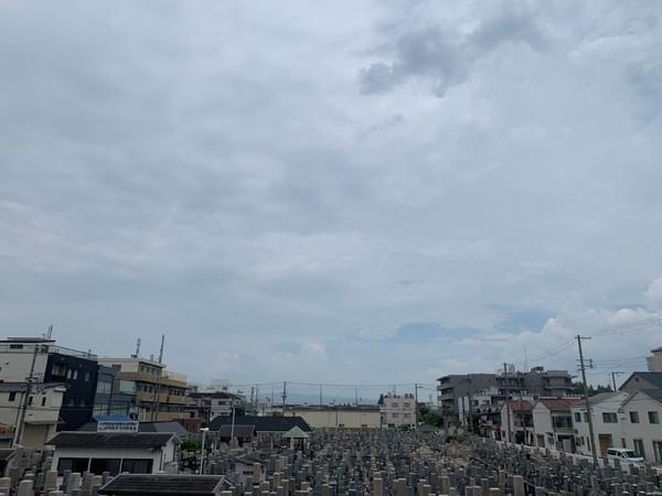 近鉄南大阪線 矢田駅 徒歩14分 4階建 築42年のその他写真