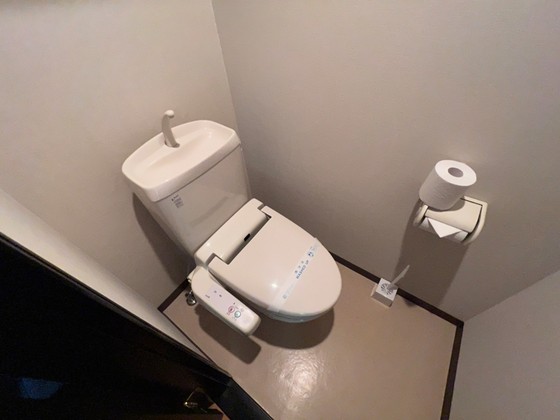 トイレ　※別号室の写真です