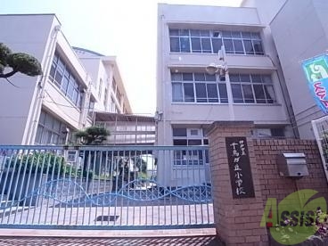 小学校　神戸市立千鳥が丘小学校（小学校）まで270m