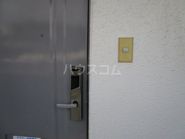 サンホワイトのその他写真
