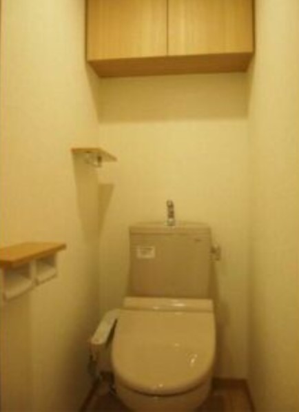 ルーブル川崎中丸子のトイレ写真