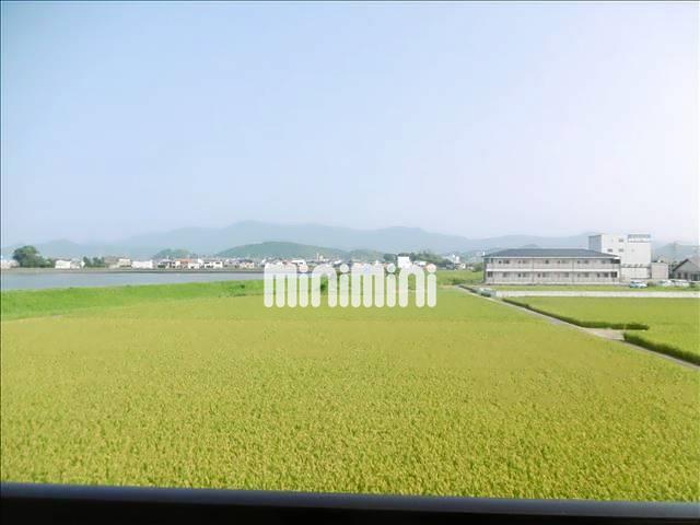 サープラスモリのその他写真