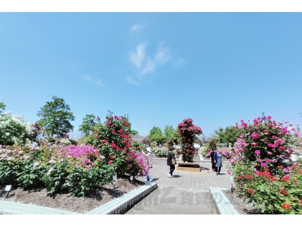 その他　庄堺公園（その他）まで340m