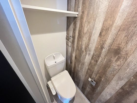アイゼンルーム安中央のトイレ写真