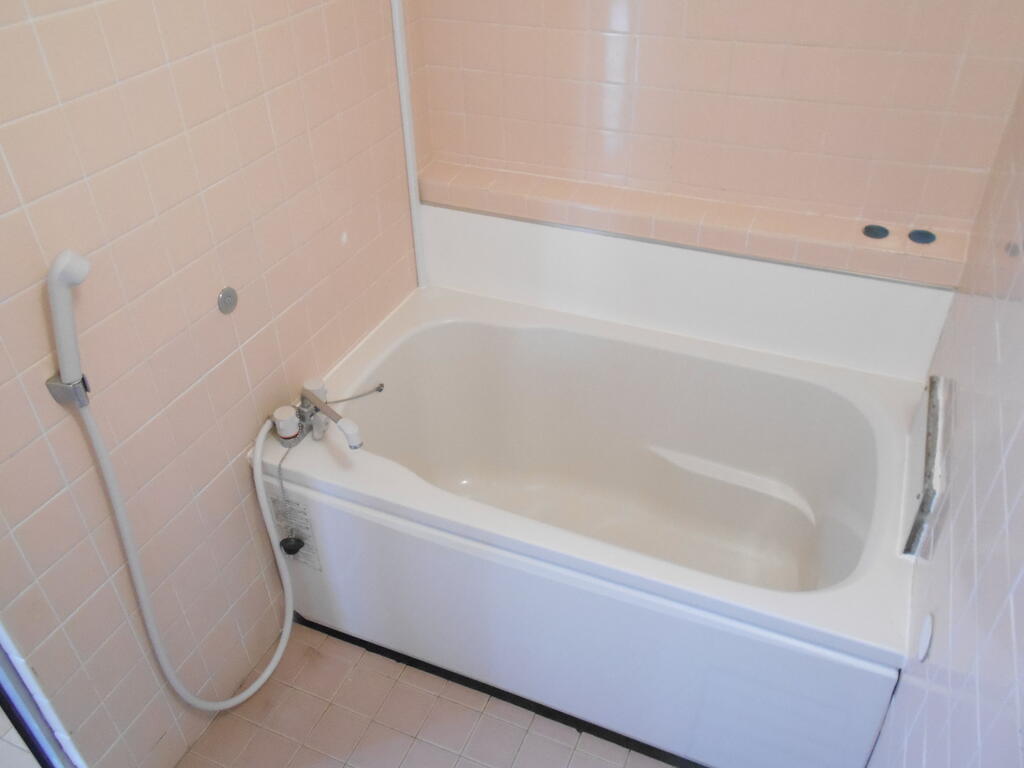 第16大橋IR BLD.の風呂写真